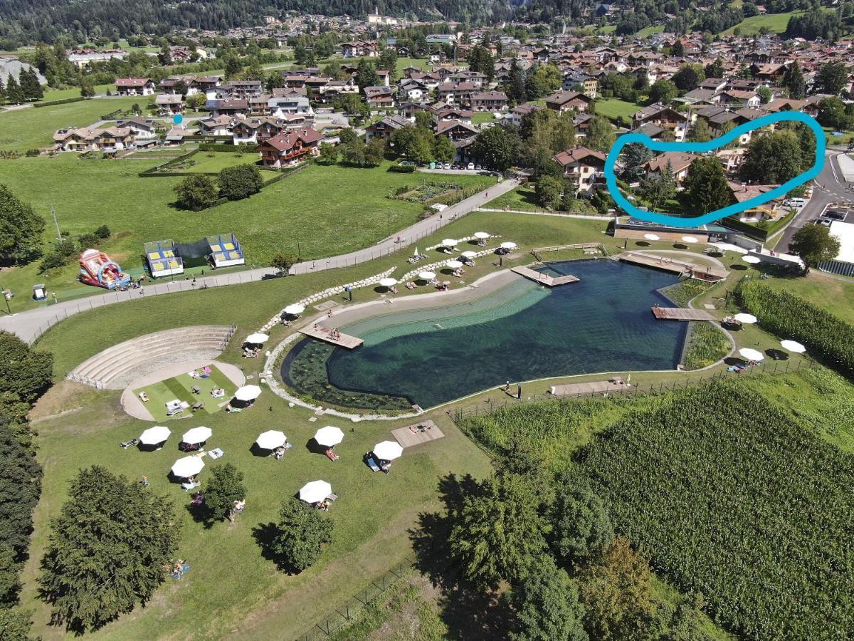 Chalet Mountain Plaza - Apt Greenvalley Pinzolo Exteriör bild