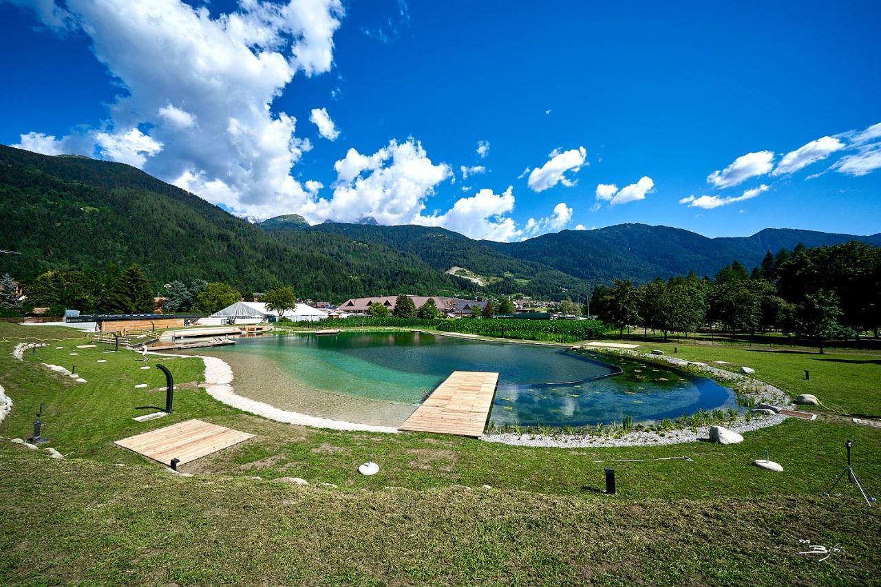 Chalet Mountain Plaza - Apt Greenvalley Pinzolo Exteriör bild