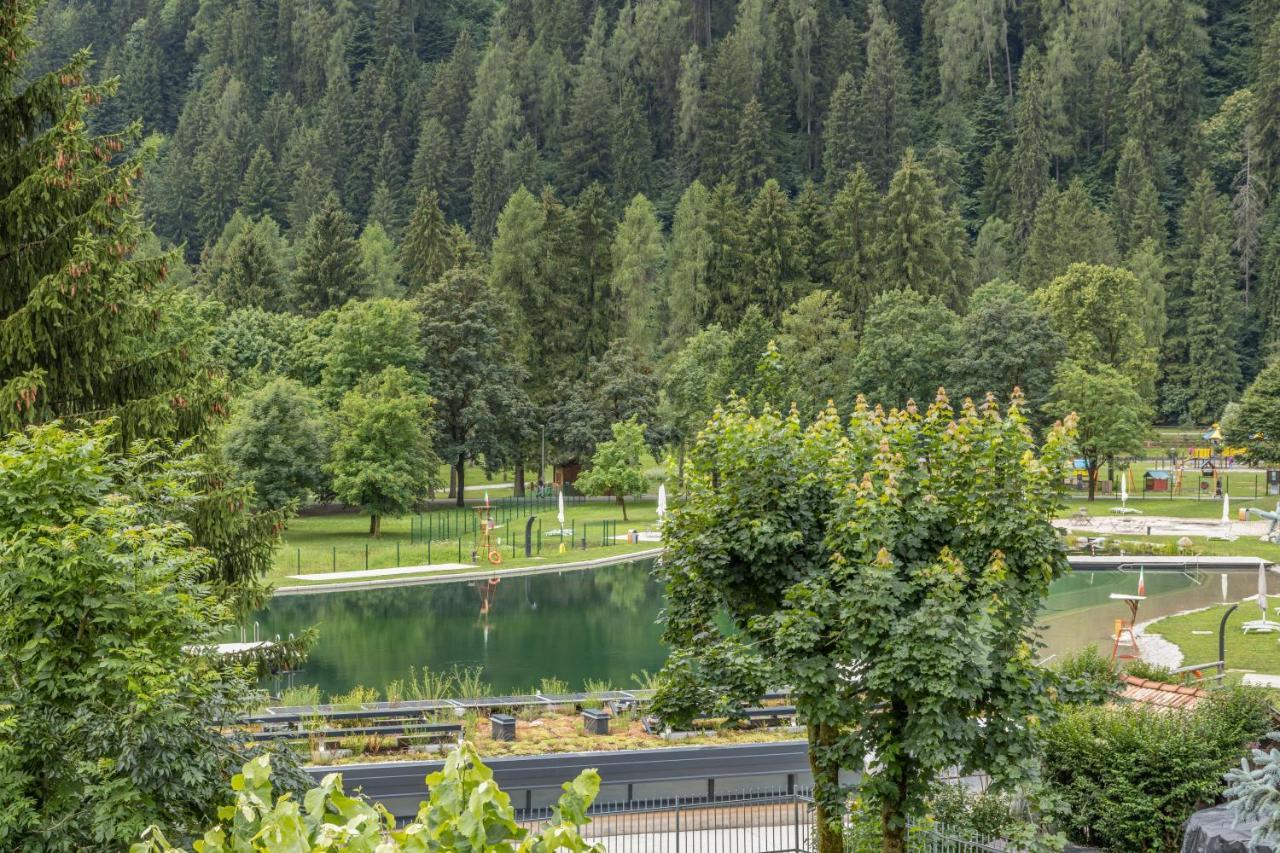 Chalet Mountain Plaza - Apt Greenvalley Pinzolo Exteriör bild